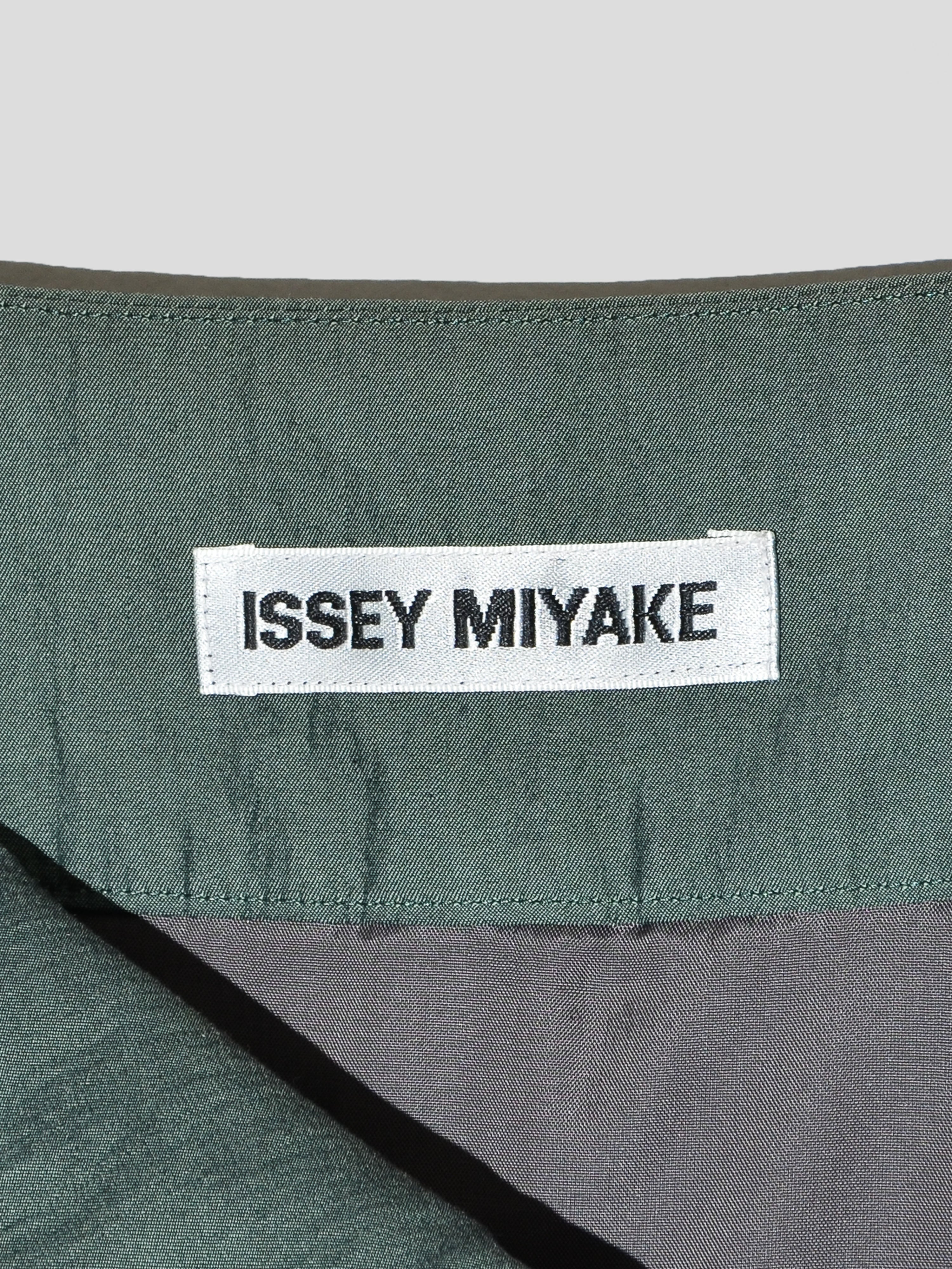 AW07 Gradient Flocked Skirt