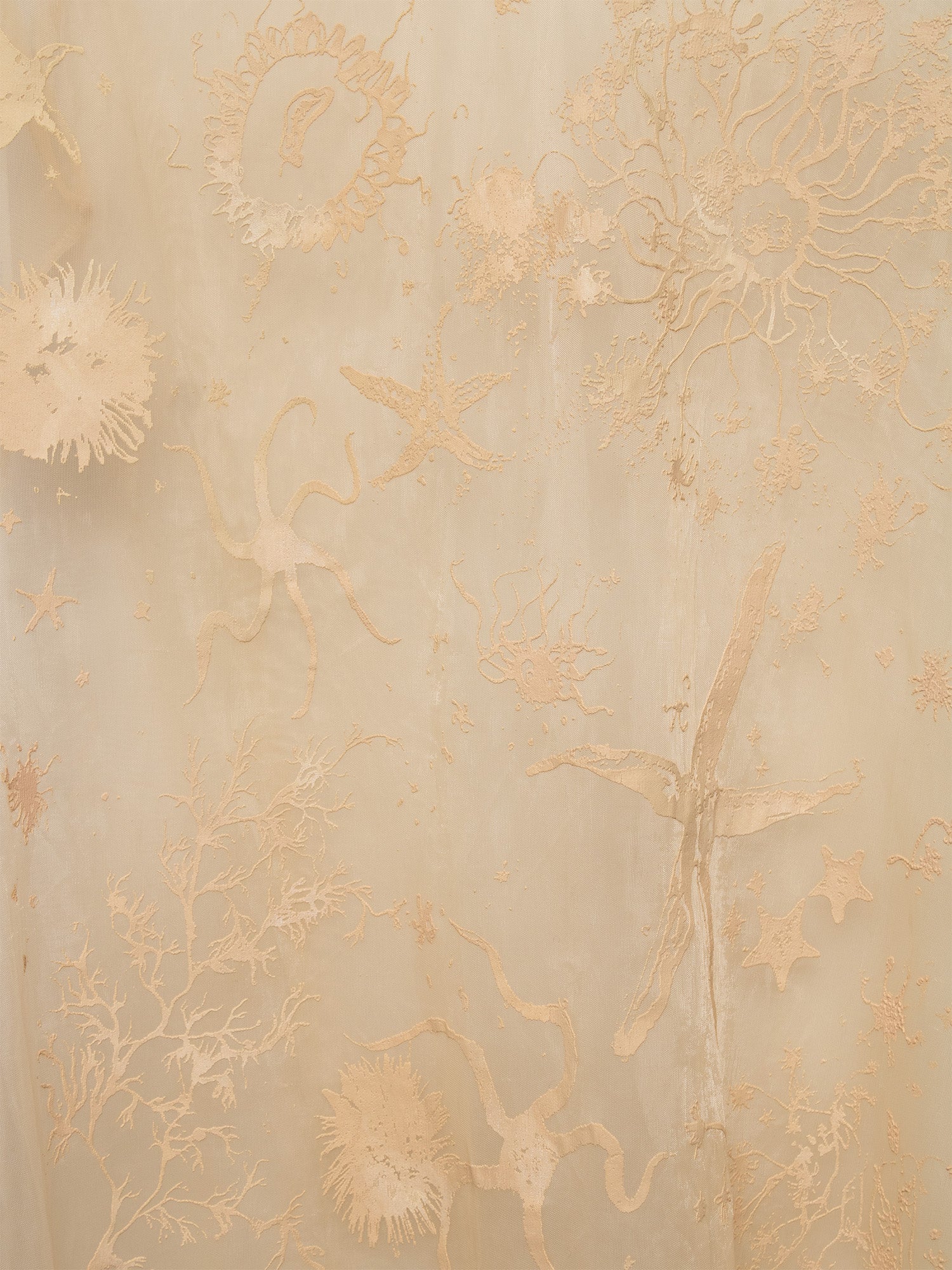 SS97 Flocked Sheer Top